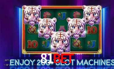 Mesas ao vivo 81bet